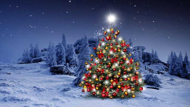 Christmas tree snow star aurora free wallpaper for desktop - medium preview image