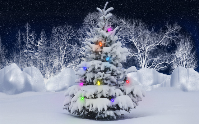 Christmas tree snow lights winter free wallpaper for desktop - medium preview image