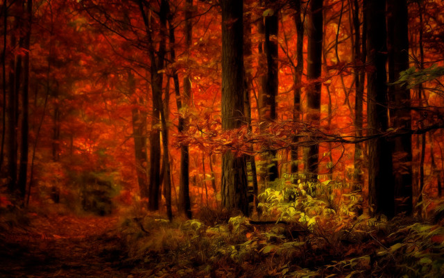 Autumn forest leaves fire torii free wallpaper for desktop - medium preview image