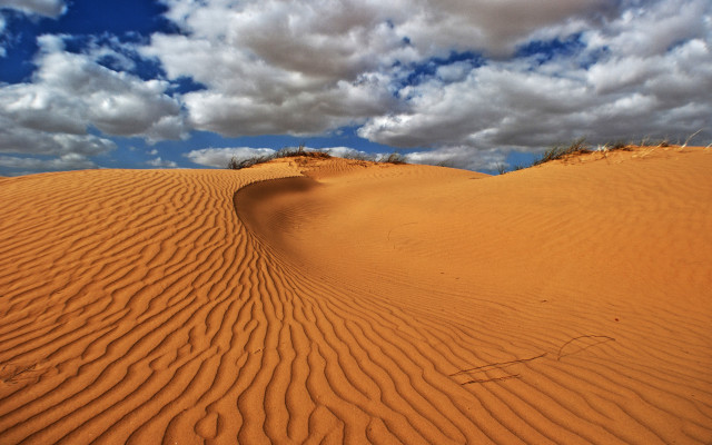 Sandy desert landscape clouds trees free wallpaper for desktop - medium preview image