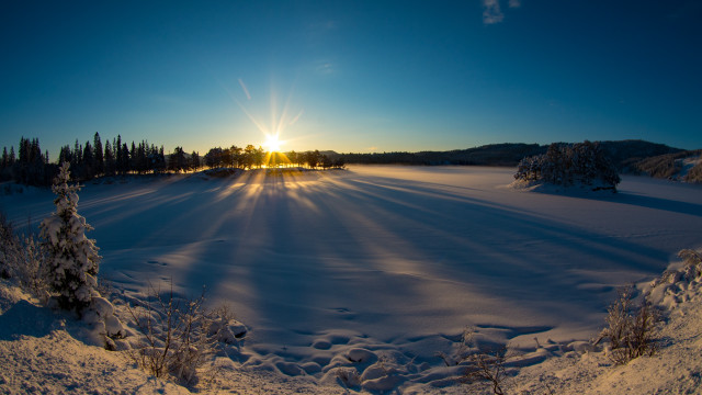 Sunset snowy field trees blue free wallpaper for desktop - medium preview image