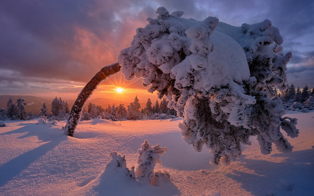 Snowy branch dusk cityscape lake free wallpaper for desktop - medium preview image