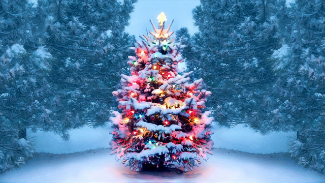 Christmas snow lit tree nature free wallpaper for desktop - medium preview image