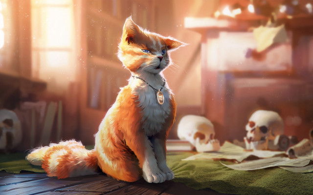 Cat skulls blue eyes indoor free wallpaper for desktop - medium preview image