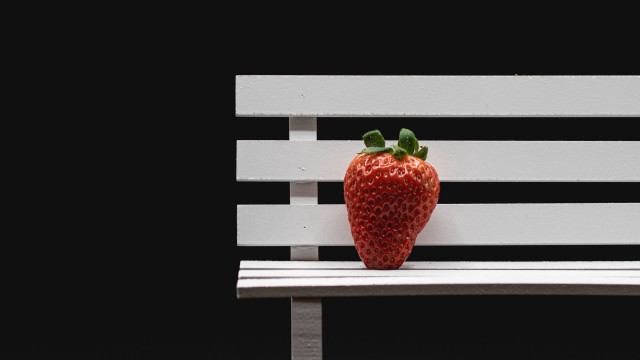 Strawberry white bench black background free wallpaper for desktop - medium preview image