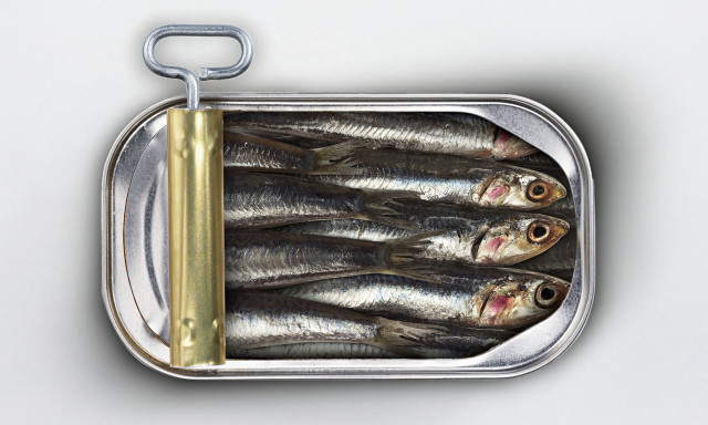 Sardines yellow handle white background free wallpaper for desktop - medium preview image
