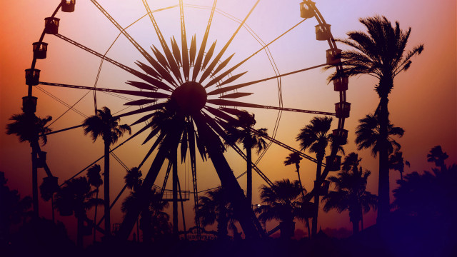 Ferris wheel palm trees sunset free wallpaper for desktop - medium preview image