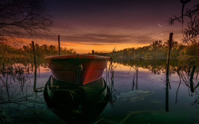 Boat sunset fish water magic free wallpaper for desktop - medium preview image