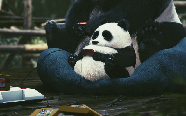 Panda sitting pillow electronic device free wallpaper for desktop - medium preview image