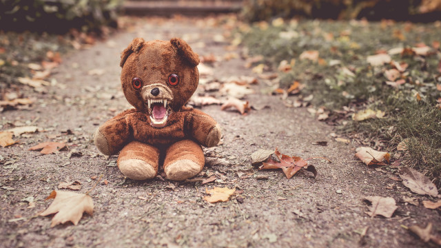 Teddy bear open mouth dirt free wallpaper for desktop - medium preview image