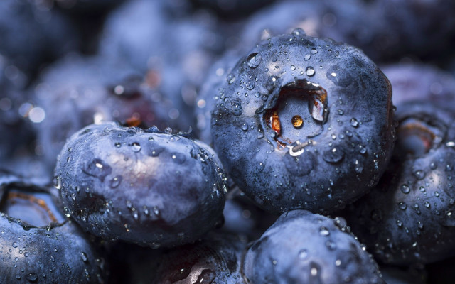 Blueberries water drops macro bokeh free wallpaper for desktop - medium preview image