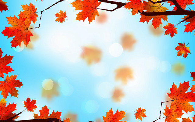 Autumn tree leaves sky sun free wallpaper for desktop - medium preview image