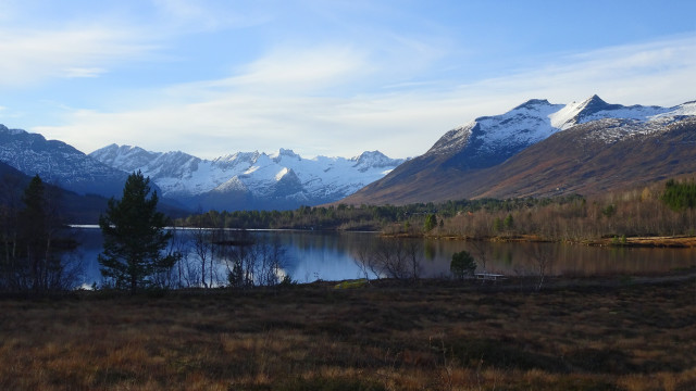Mountain lake snow capped trees free wallpaper for desktop - medium preview image