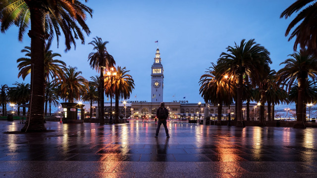 Clock tower night palm trees free wallpaper for desktop - medium preview image