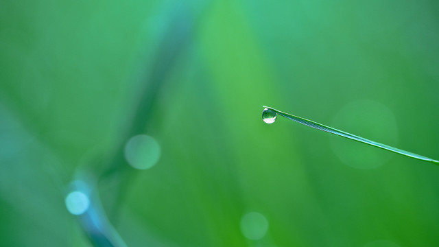 Water drop leaf 3d render free wallpaper for desktop - medium preview image