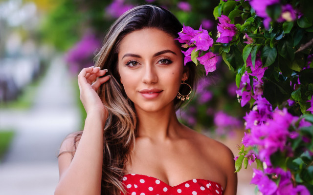 Araceli gilbert polka dot dress free wallpaper for desktop - medium preview image