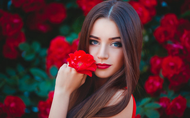 Elina karimova roses romantic photorealistic free wallpaper for desktop - medium preview image