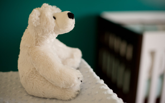 Polar bear stuffed bed room free wallpaper for desktop - medium preview image