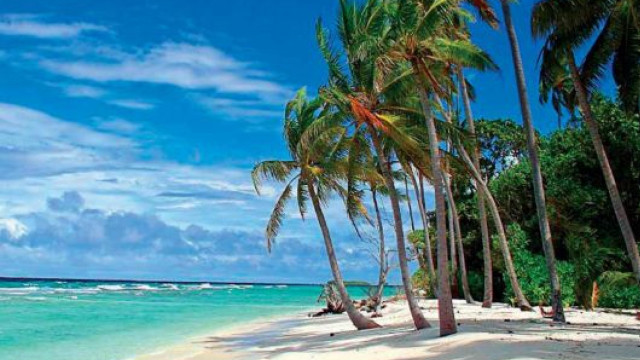 Beach palm trees blue sky #28 free wallpaper for desktop - medium preview image