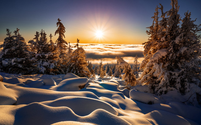 Snowy landscape trees clouds sunset free wallpaper for desktop - medium preview image