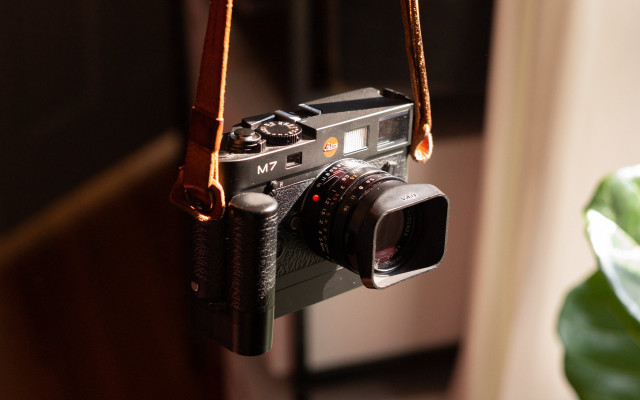 Camera hanging wall plant depthfield free wallpaper for desktop - medium preview image