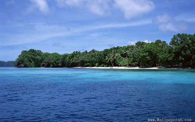 Water trees beach boat nature free wallpaper for desktop - medium preview image