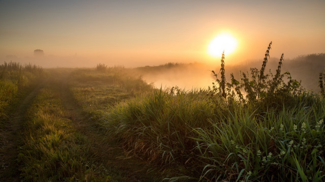 Foggy sunrise grassy trail lake free wallpaper for desktop - medium preview image