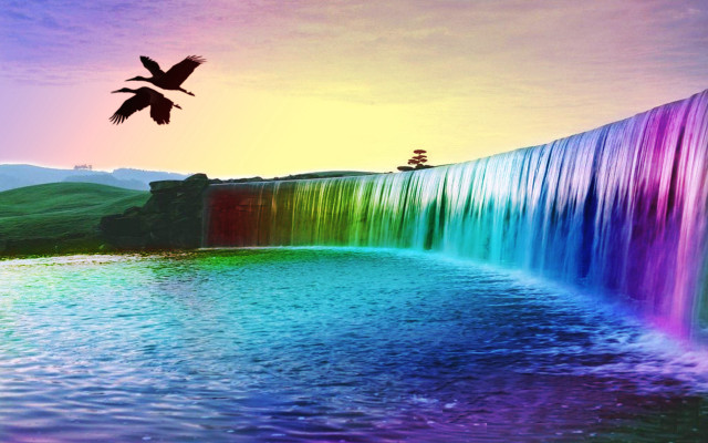 Bird flying waterfall rainbow background free wallpaper for desktop - medium preview image