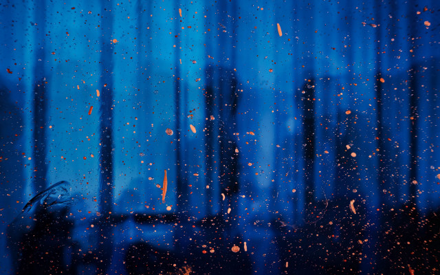 Window rain drops black cat free wallpaper for desktop - medium preview image