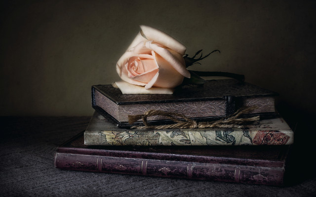 Rose stack books table bag free wallpaper for desktop - medium preview image