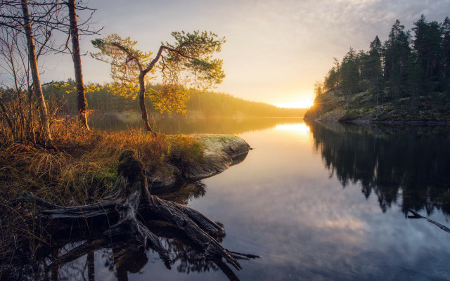Lake tree stump sunset clouds free wallpaper for desktop - medium preview image