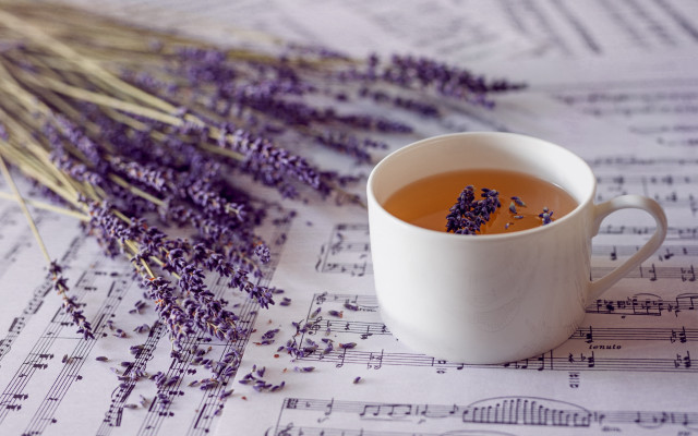 Tea lavender music stilllife purple free wallpaper for desktop - medium preview image