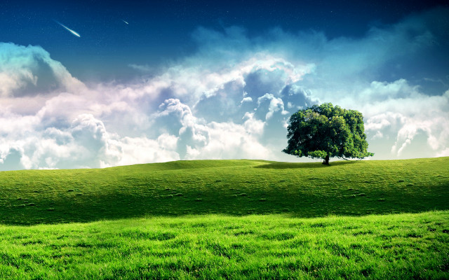 Lone tree grassy hill shooting free wallpaper for desktop - medium preview image