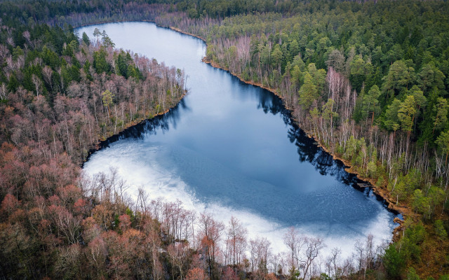 Frozen lake forest ice nature free wallpaper for desktop - medium preview image