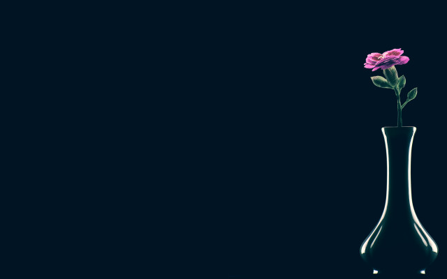 Flower vase reflection minimalism monochrome free wallpaper for desktop - medium preview image