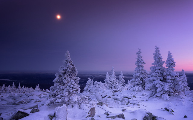 Full moon snowy landscape forest #2 free wallpaper for desktop - medium preview image