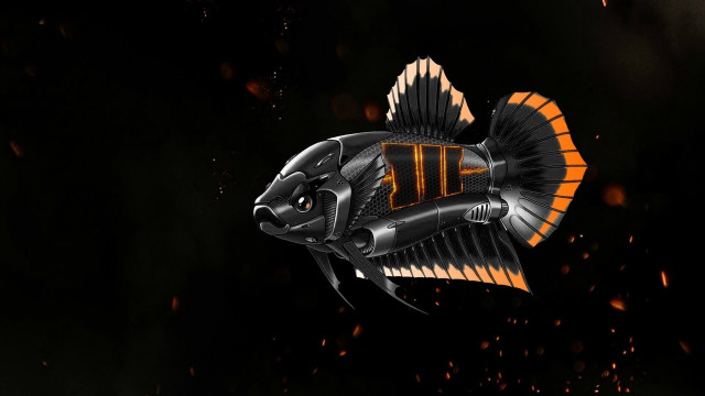 Orange striped fish glowing armor free wallpaper for desktop - medium preview image
