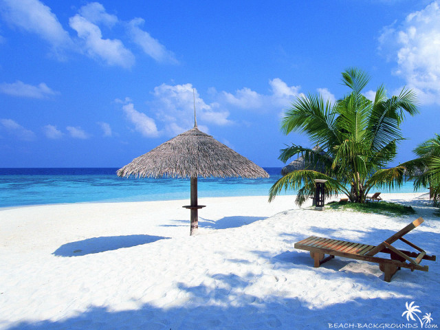 Beach thatched umbrella bench sand free wallpaper for desktop - medium preview image