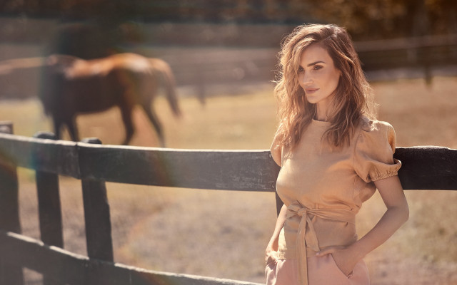 Woman fence horses sunset field free wallpaper for desktop - medium preview image