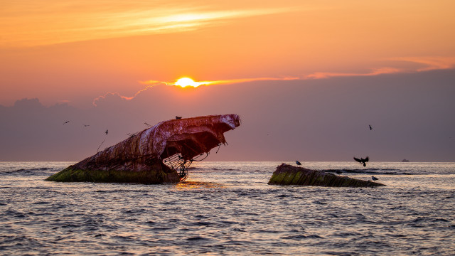 Sunset boat island birds ocean free wallpaper for desktop - medium preview image