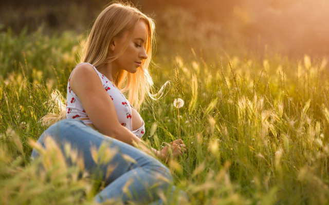 Woman field dandelion sunlight blonde free wallpaper for desktop - medium preview image