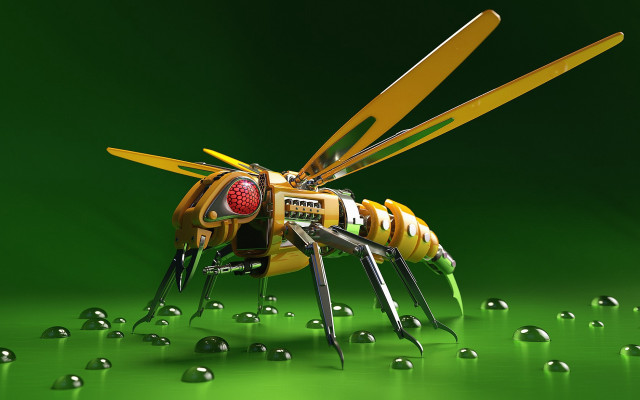 Yellow black insect tools underwater free wallpaper for desktop - medium preview image