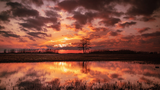 Sunset clouds reflection trees distant free wallpaper for desktop - medium preview image
