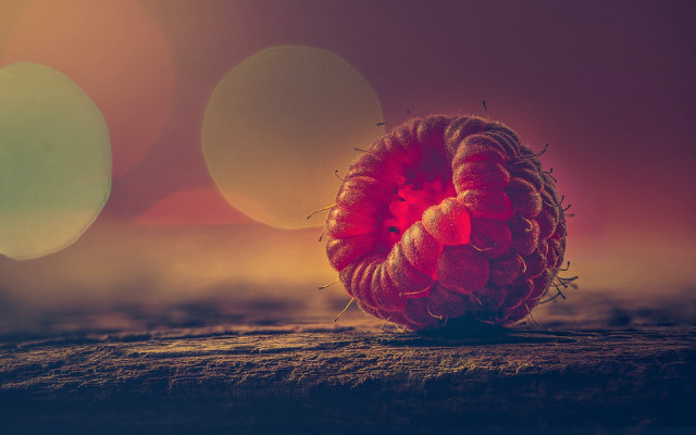 Red berries wooden table blurry free wallpaper for desktop - medium preview image