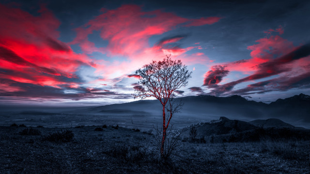 Lone tree mountain horizon mystical free wallpaper for desktop - medium preview image