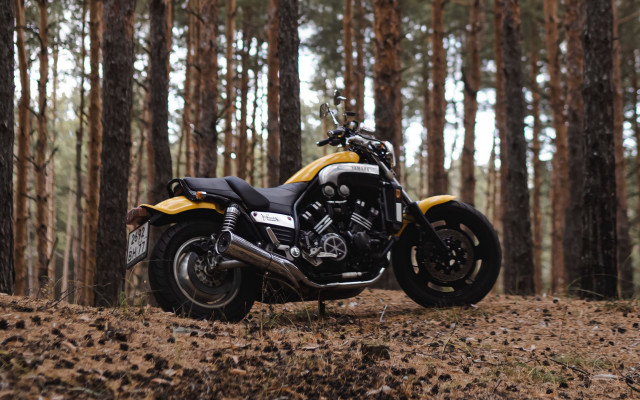 Motorcycle forest panfuturism tiltshift blurry free wallpaper for desktop - medium preview image