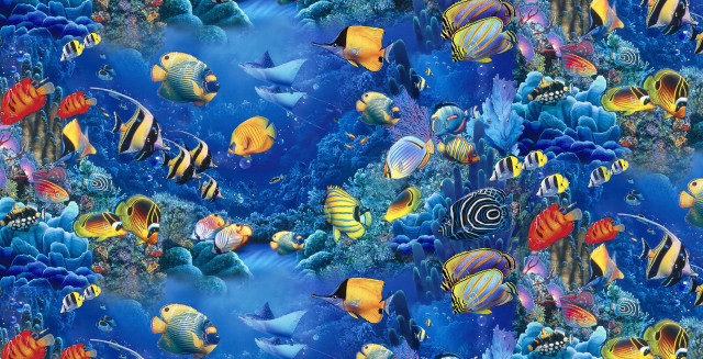 Colorful fish corals blue water free wallpaper for desktop - medium preview image