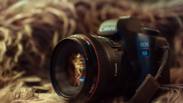 Camera lens furry surface macro free wallpaper for desktop - medium preview image