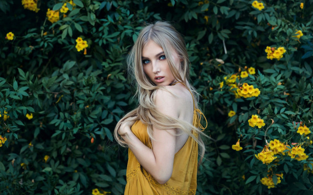 Eszter blonde hair flower garden free wallpaper for desktop - medium preview image
