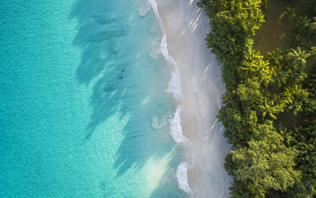 Beach blue water white sand free wallpaper for desktop - medium preview image